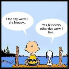 CHARLIE BROWN SNOOPY LIVE EACH DAY FRIDGE MAGNET picture