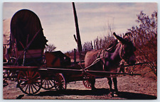 Postcard Old Tucson, Donkey Cart, Cactus, Arizona Unposted picture