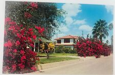 Vtg South Texas Texas TX Picture of South Texas Home Surrounded By Bougainvillea picture