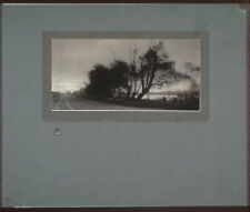 Photo:Landscape,An Evening,Road,Trees,c1900 picture