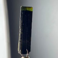 13.70 Cts Green cap Tourmaline Crystal From Pakistan picture