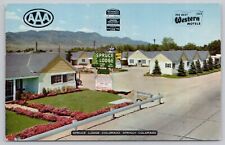 Postcard Spruce Lodge Motel Colorado Springs, Posted 1952 picture