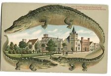 Postcard Alligator Border First Presbyterian Church + Monroe St Jacksonville FL  picture