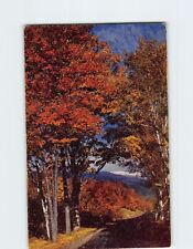 Postcard Fall Nature Scene New England USA picture