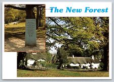 Postcard- Europe England Hampshire The New Forest Rufus Stone & Swan Green  16 picture