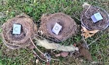 Genuine Natural Found Wild BIRD'S NESTS, Plus Nature Items- Pinecones, Ect...CDE picture