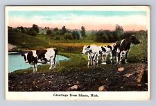 Ithaca MI-Michigan, Scenic General Greetings Cows, Vintage c1905 Postcard picture