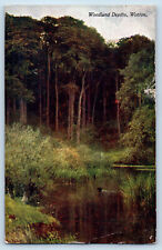 Wotton-under-Edge Gloucestershire England Postcard Woodland Depths c1915 Posted picture