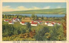 1930s Winter's Isolated Cabins Watkins Glen New York Postcard Teich 11660 picture