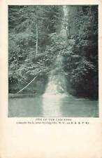 Vintage Postcard One of the Cascades Cascade Park Springville New York picture
