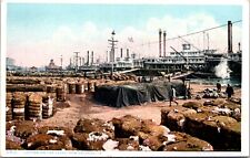 Postcard Cotton on the Levee in New Orleans, Louisiana picture