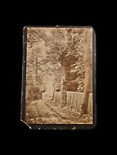 591 Bellvue Lane Outdoors Cabinet Card Photograph picture