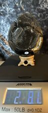 2.8 pound Septarian Egg Dragon Carving Stunning Details And Brilliant UV picture