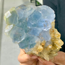 1.97LB Natural blue-green cubic fluorite crystal cluster mineral samples picture