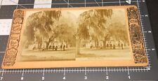 1880s Spanish Moss Early HOUSE Florida FL Antique Stereoview PHOTO picture