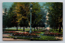 c1911 DB Postcard Champaign IL University Illiniois Burril Drive Park picture