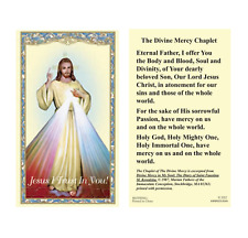 (2 copies) Chaplet of Divine Mercy Holy Prayer Card Jesus I Trust in You picture