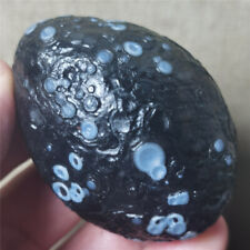 96g Bonsai Suiseki-Natural Gobi Agate Eyes Stone-Rare Stunning Viewing  #777 picture