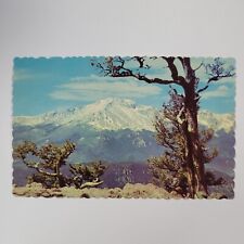 CO Pikes Peak View From Rampart Range Road Colorado Mountain Vintage Postcard picture