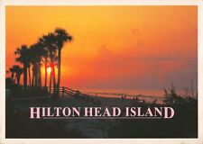 Hilton Head Island South Carolina, Beautiful Sunrise & Palms, Vintage Postcard picture