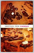 Salina, Kansas - Indian Burials Pit - Archeological Discovery - Vintage Postcard picture