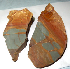 Owyhee Picture Jasper Slabs Lot of two  Old Stock 8.2 oz. Oregon picture