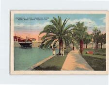 Postcard Promenade Along Hillsboro River, Plant Park, Tampa, Florida picture