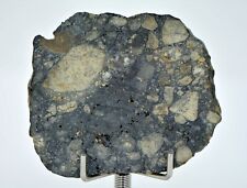 12.20g Eucrite Slice Monomict Basaltic Breccia - TOP METEORITE picture