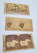 3 Antique Underwood Stereoviews Cards Featuring Yosemite Pigs Crucifixion Christ picture