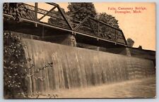 Dowagiac Michigan~Cemetery Bridge Falls~1930s B&W Postcard picture