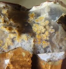 Beautiful Priday Thunderegg - Rare Plume Agate Rough from Madras Oregon. 42grams picture
