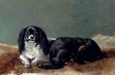 Art Oil painting dogs Two Kings Charles Spaniels  hand paint picture