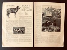 1926 Dogs of Saint Bernard Article Bernard de Menthon Swiss Alps Hospice Antique picture