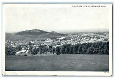 1930 Birds Eye View Field Mountain Town City Exterior Bessemer Michigan Postcard picture