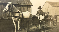 Antique RPPC White Horse Drawn Buggy Woman Fancy Hat Farm Barn 1912 #91 picture
