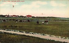 A Milk Farm Oak Bluffs Massachusetts MA 1910 Postcard picture