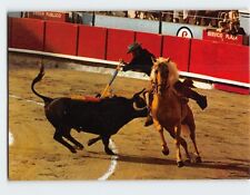 Postcard A pair to the stirrup, Toros picture