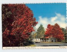 Postcard Picturesque Whetstone Ridge on the Blue Ridge Parkway Virginia USA picture