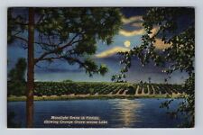 Moonlight Scene In Florida, Orange Grove Across Lake, Vintage Souvenir Postcard picture
