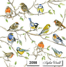 (2098) TWO Paper Luncheon Decoupage Art Craft Napkins - BIRDS on BRANCHES picture