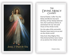 Laminated Divine Mercy Chaplet Jesus I Trust In You Holy Prayer Card Catholic picture