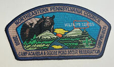 Northeastern Pennsylvania 2008 Wildlife BSA Bear  CSP Boy  Scout TK0 picture