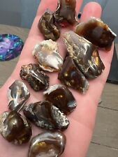 Mexican Fire Agate 80 grams with schiller nice i picture