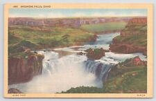 Linen~Air View Twin Shoshone Falls Idaho~c1910 Postcard picture