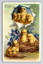 1909 TUCK's Easter Greetings Chicks and Clematis Flowers Series 700 Postcard picture