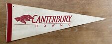 Vintage Canterbury Downs Minnesota Horse Racing 24 Inch Felt Pennant Early Old picture