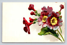 Primula Auricula Vulcan Flowers? Artist NL Logo Postcard picture