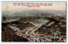c1910 Bird's Eye View of Belt Towns Black Hill SD Spearfish SD Antique Postcard picture