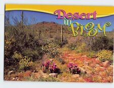 Postcard Desert in Bloom picture