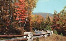 Postcard PA Scenic Area Fall White Birch and Maple Trees Chrome Vintage PC J748 picture